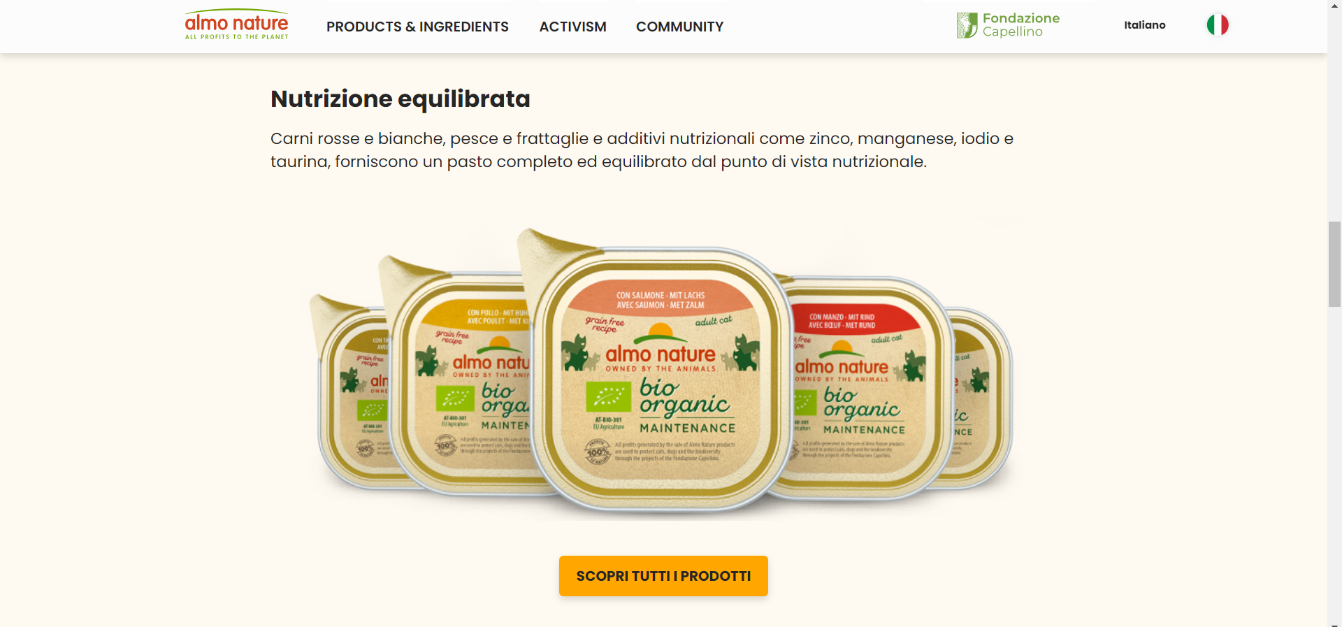 Sintra Partner Shopify Plus