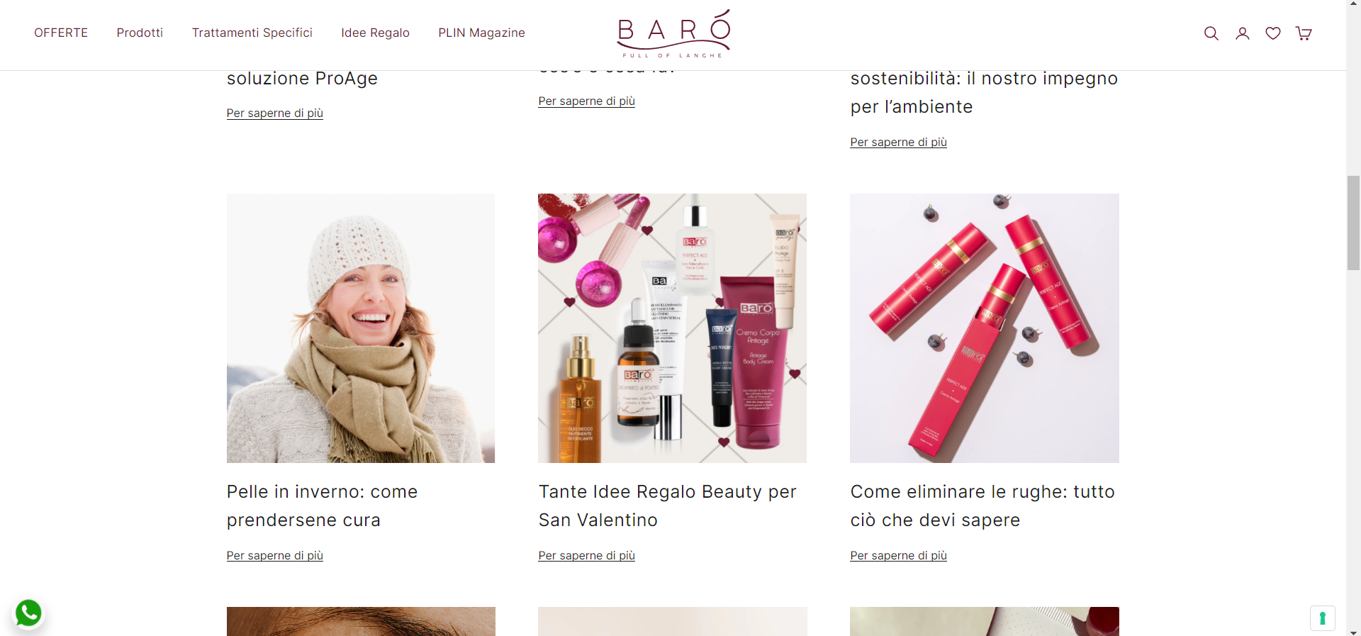 Shopify partner